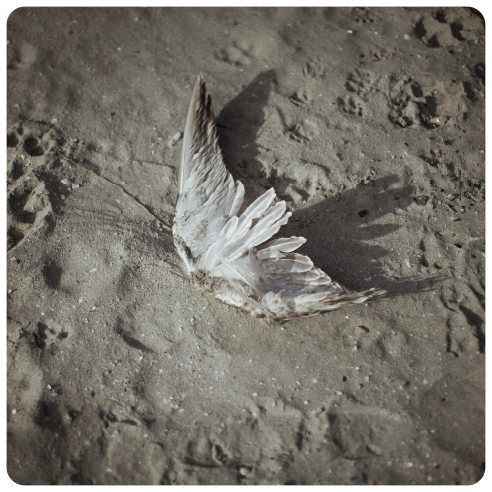 17-INYONI - Afronauts - ©Cristina de Middel