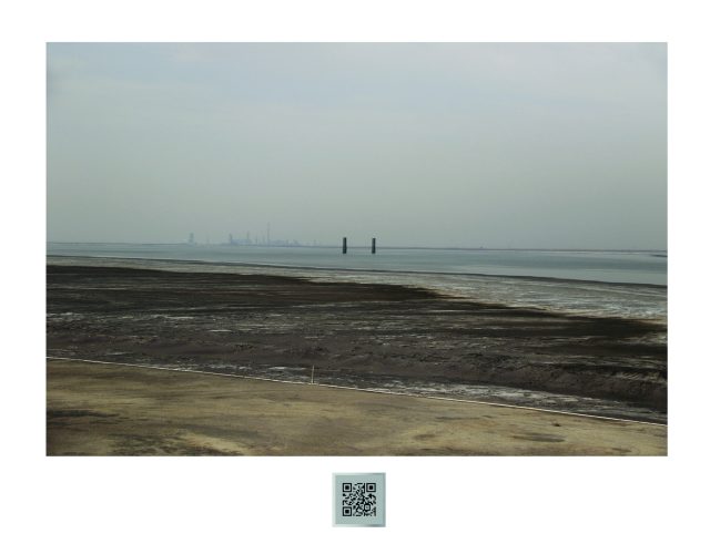 FLORENCIA LEVY. Tierra de ciervos. 2016