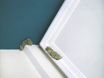 IVANA SALFITY. "Sin título". 2018