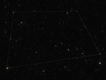 JAVIER SORIA VÁZQUEZ