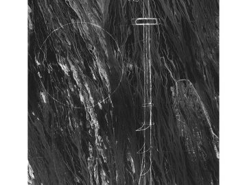 CELESTE ROJAS MUJICA. "Sin título". Serie "Ejercicios de aridez". 2018