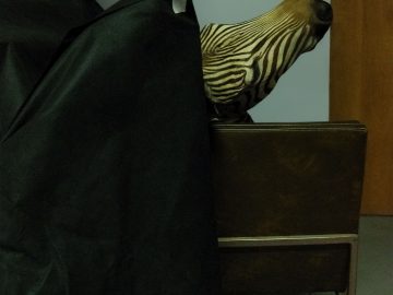 LISANDRO BELLA. "Naturaleza oculta II". 2010