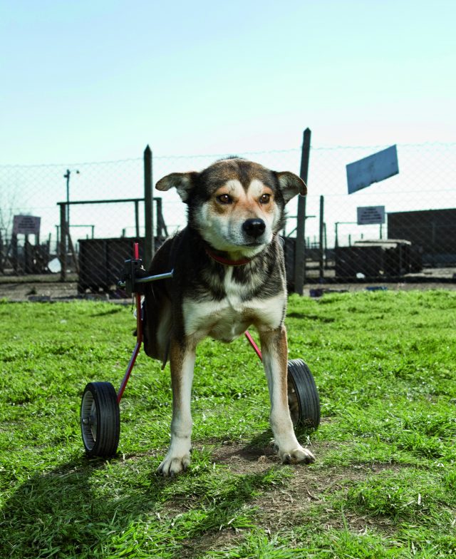 GERMAN RUIZ. "Sin Título (El Campito)". 2012